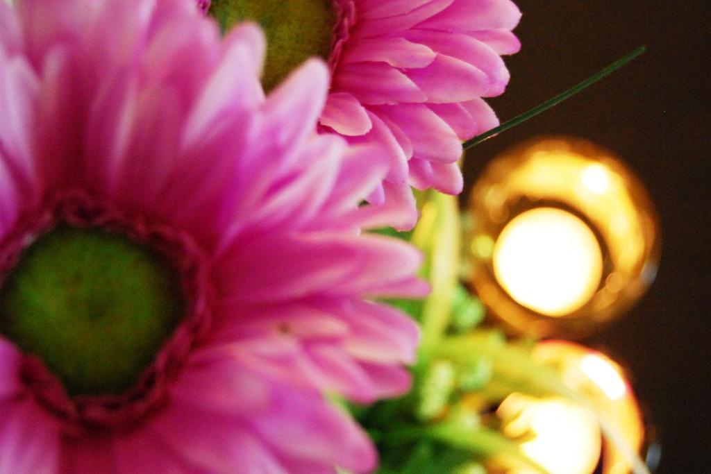 Vareevara Apartment バンコク都 部屋 写真